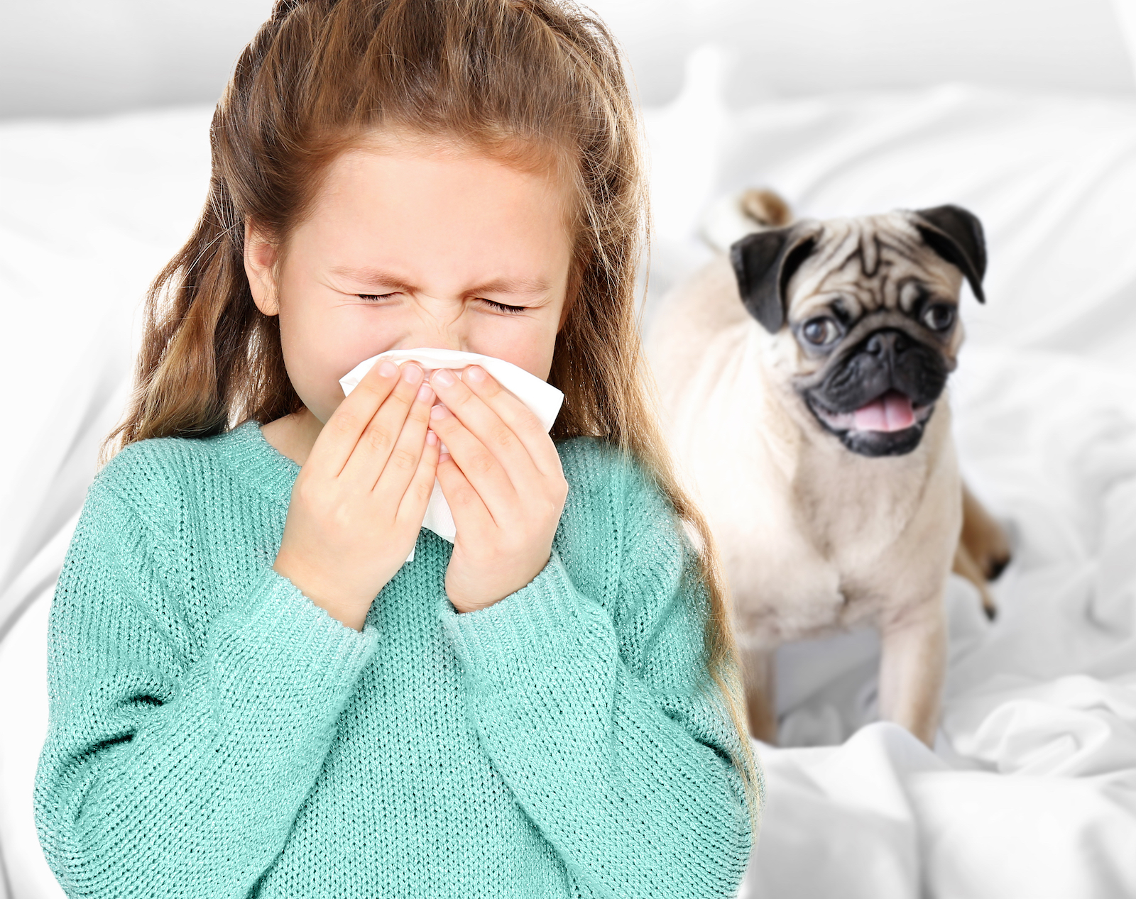 How to best prepare for cold and flu season this year | Trane