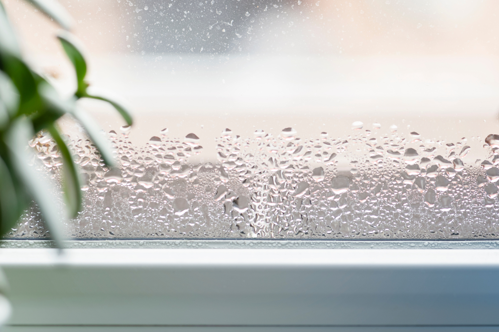 Why You Should Monitor the Humidity Levels In Your Home